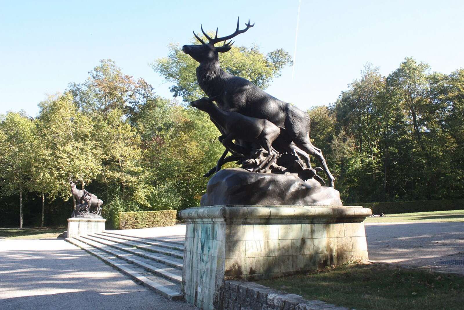 Groupe de cerfs au Parc départemental de Sceaux