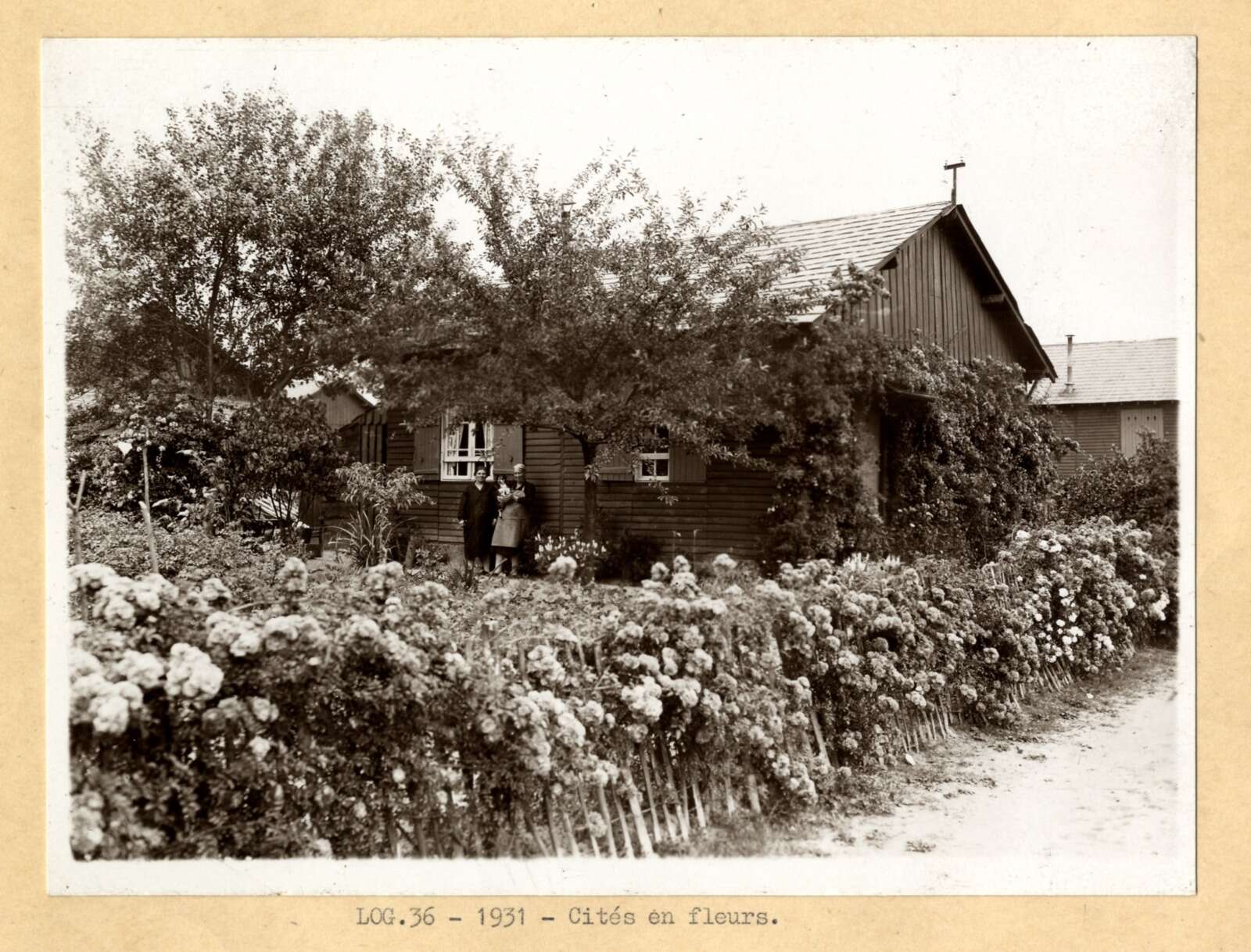 Cités en fleurs