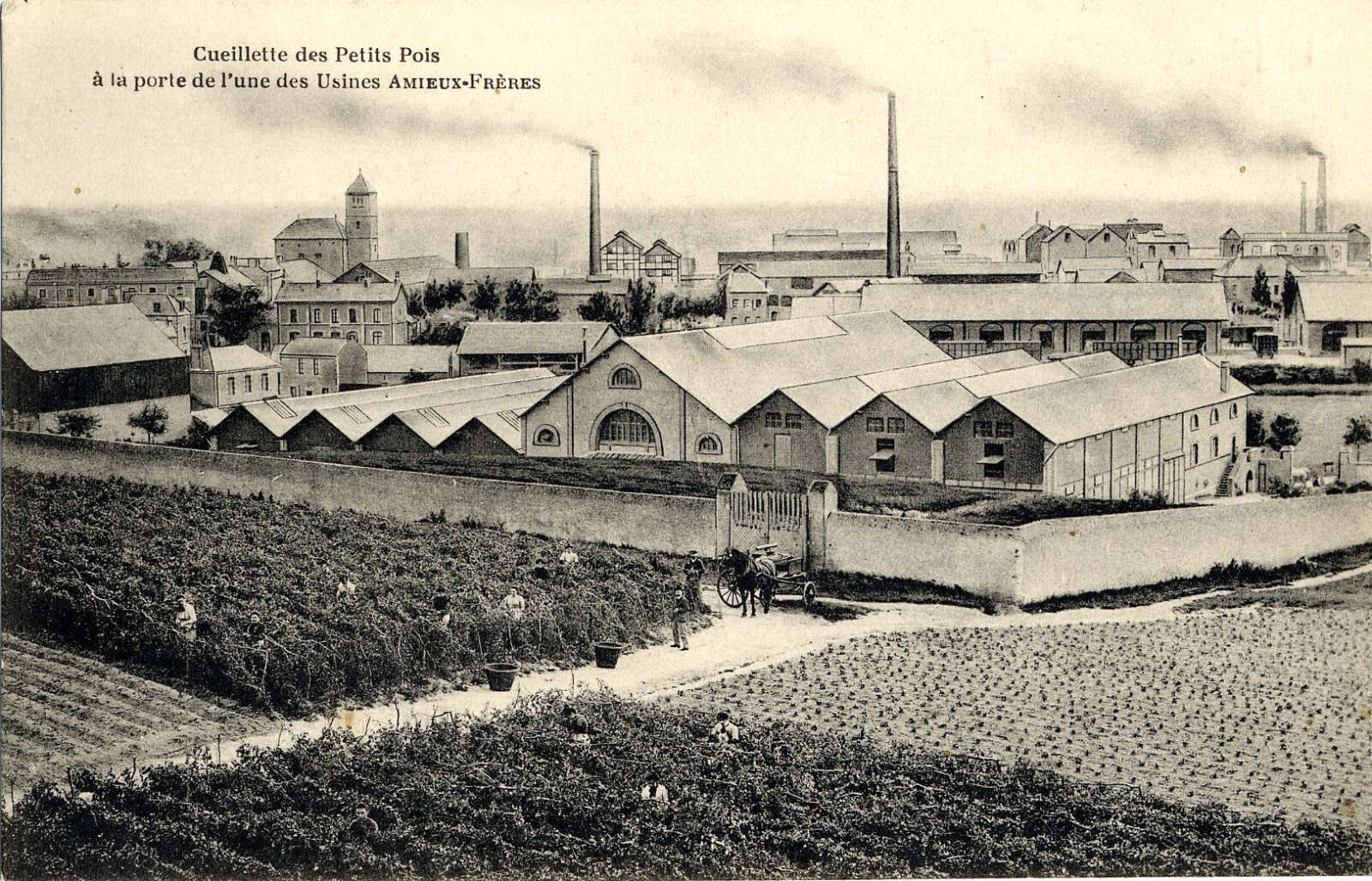 Ancienne conserverie Amieux