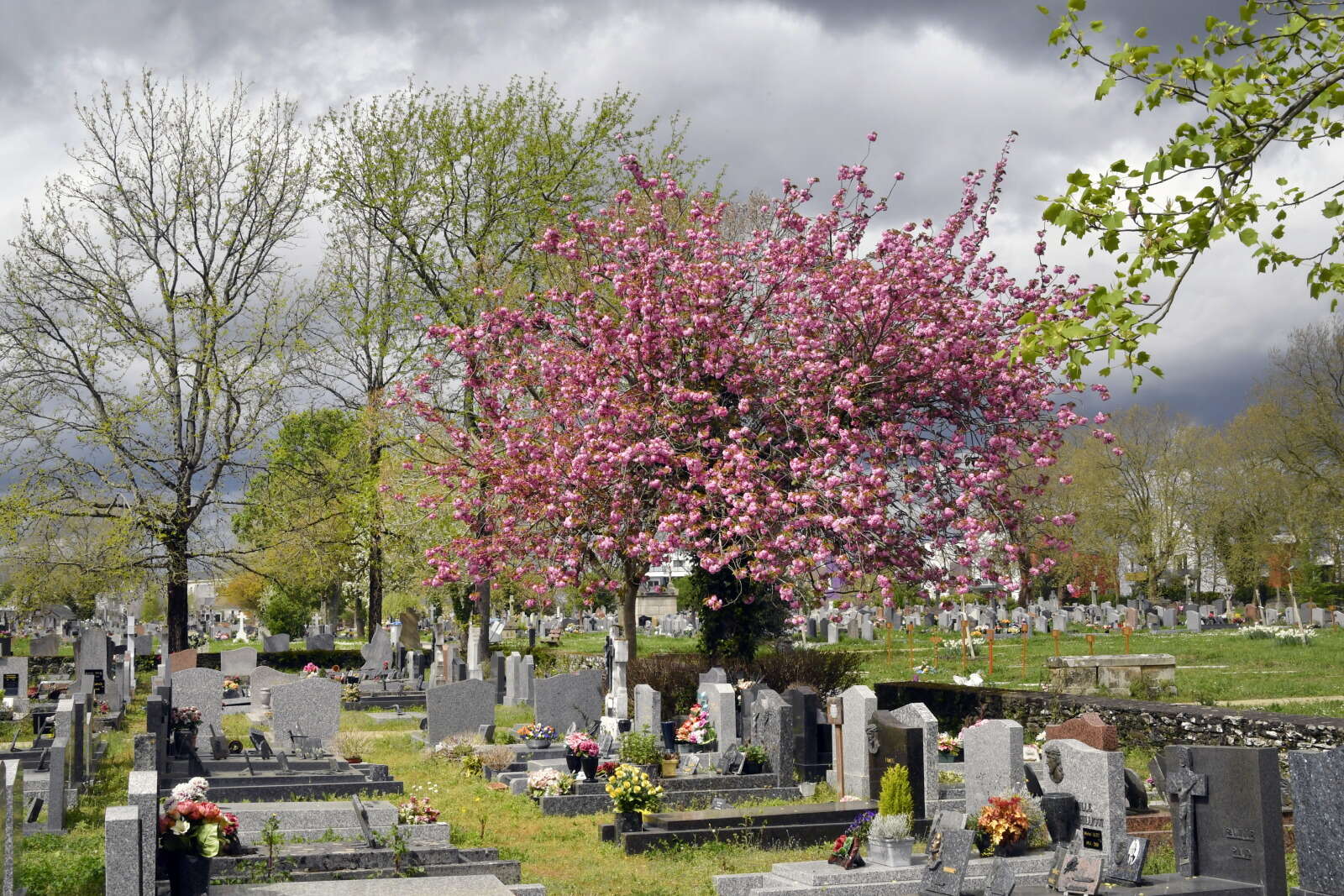 Cimetière Saint-Jacques