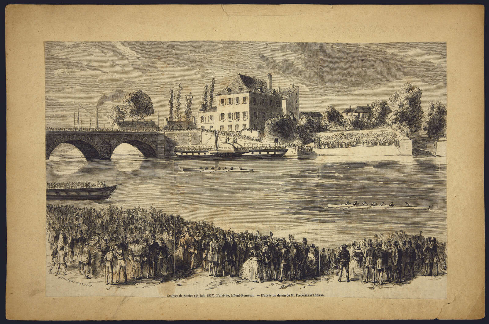 Courses d’aviron, arrivée à Pont-Rousseau