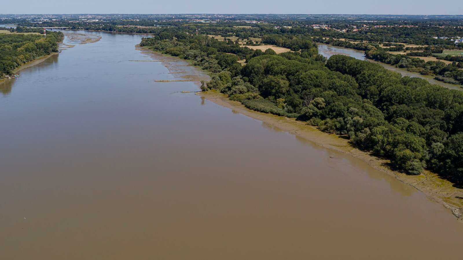 Epis le long de l'île Héron, vus depuis la pointe de l'île Beaulieu