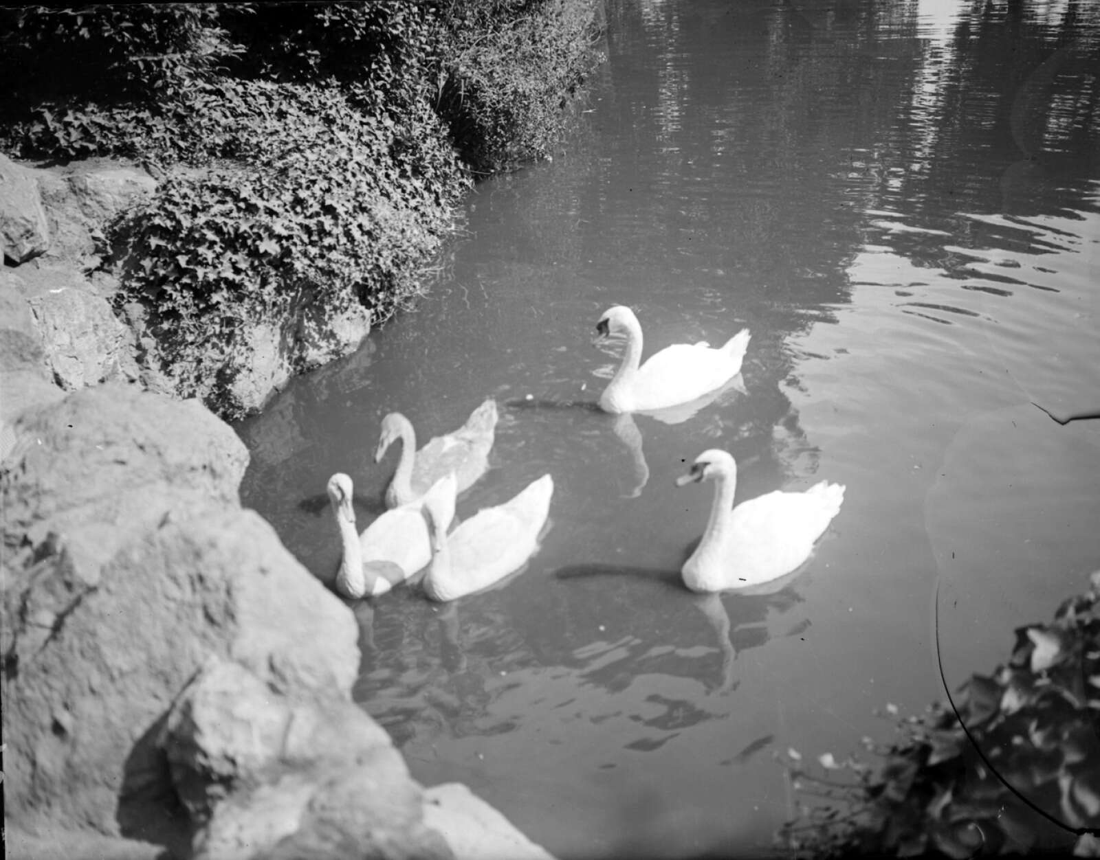 Ménagerie du Jardin des Plantes de Nantes