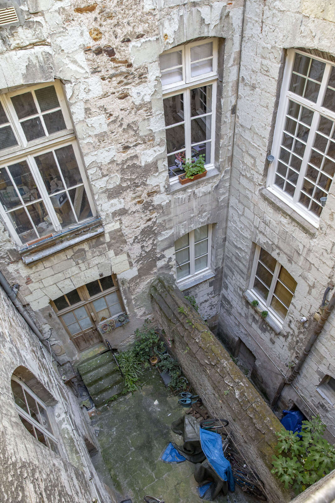 Cour et séparation entre les immeubles 42 et 41