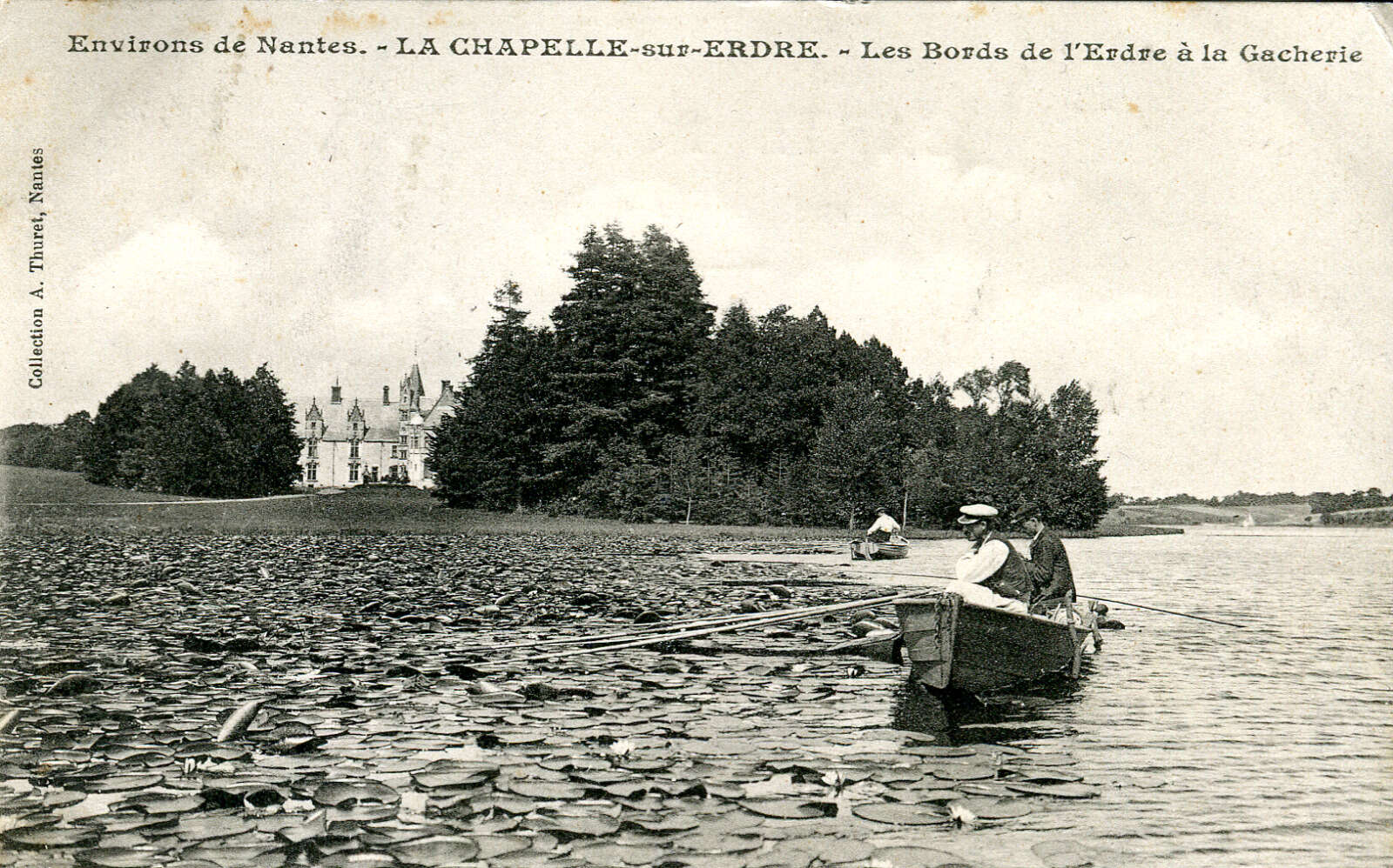Nénuphars à la Gâcherie