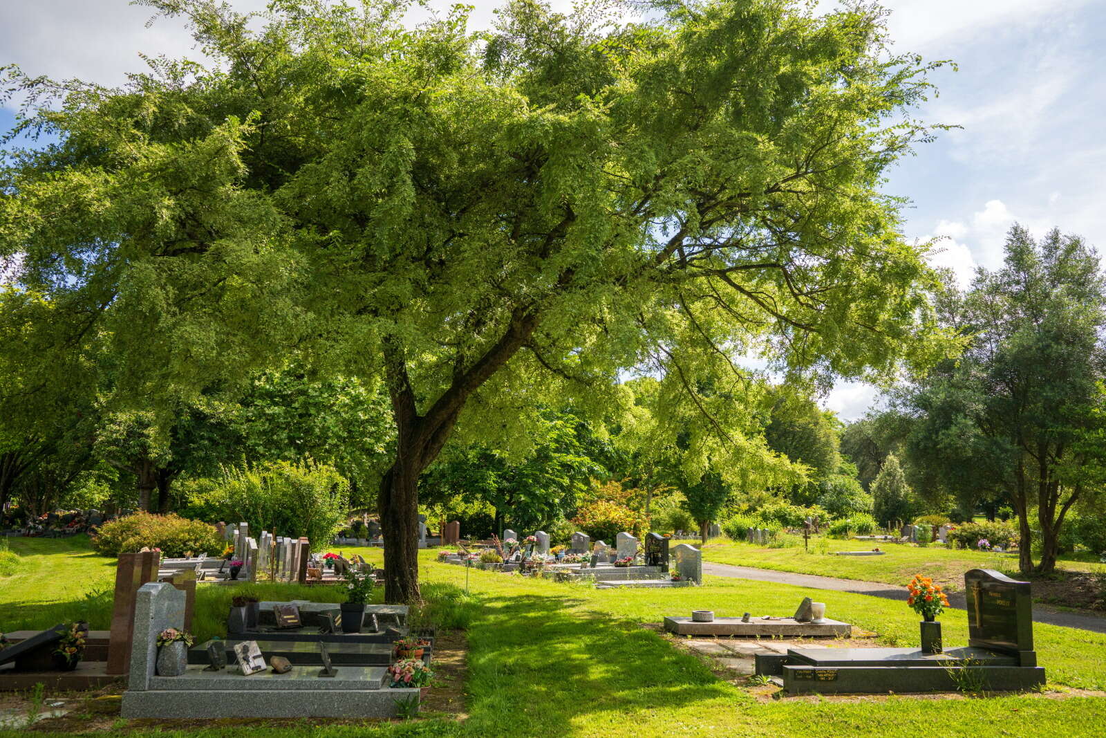 Cimetière parc