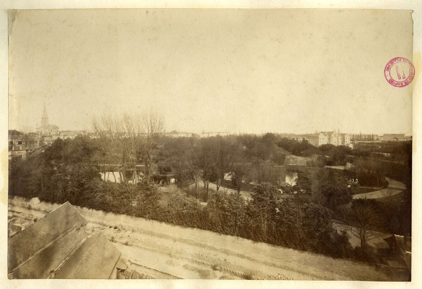 Rue Frédéric-Cailliaud