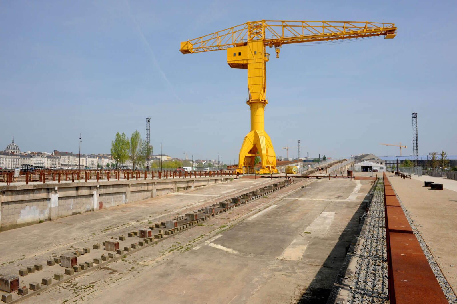 Grue jaune