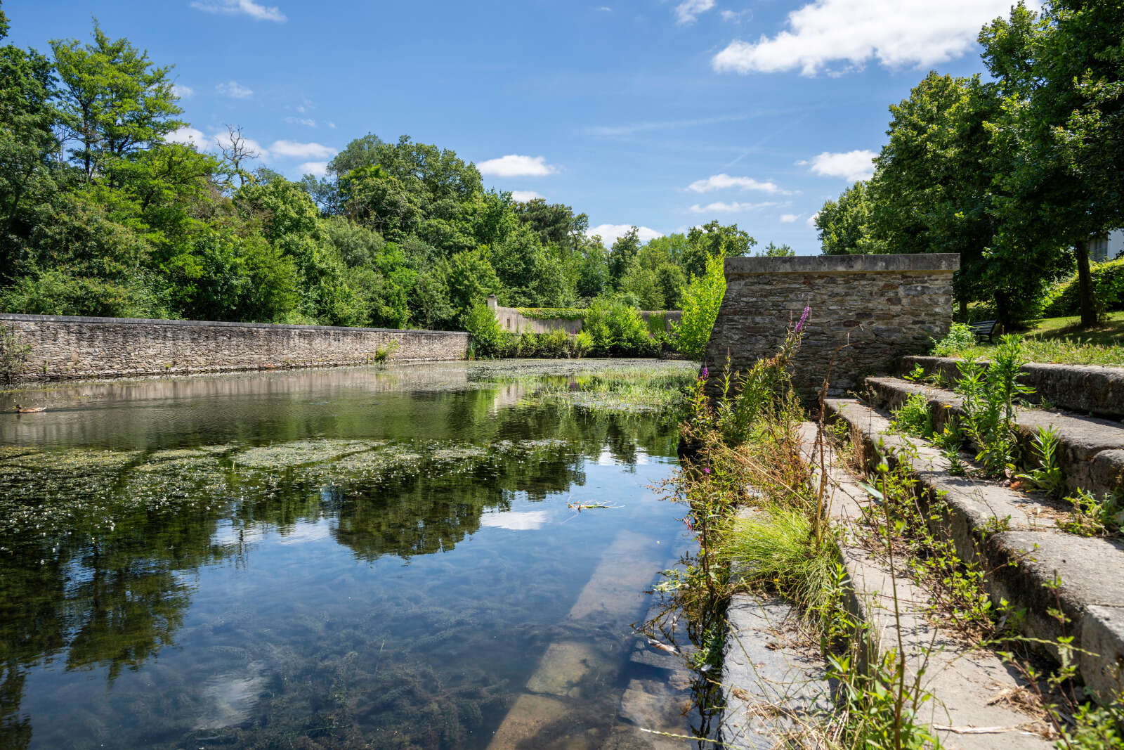 Le bassin du Bois Briand