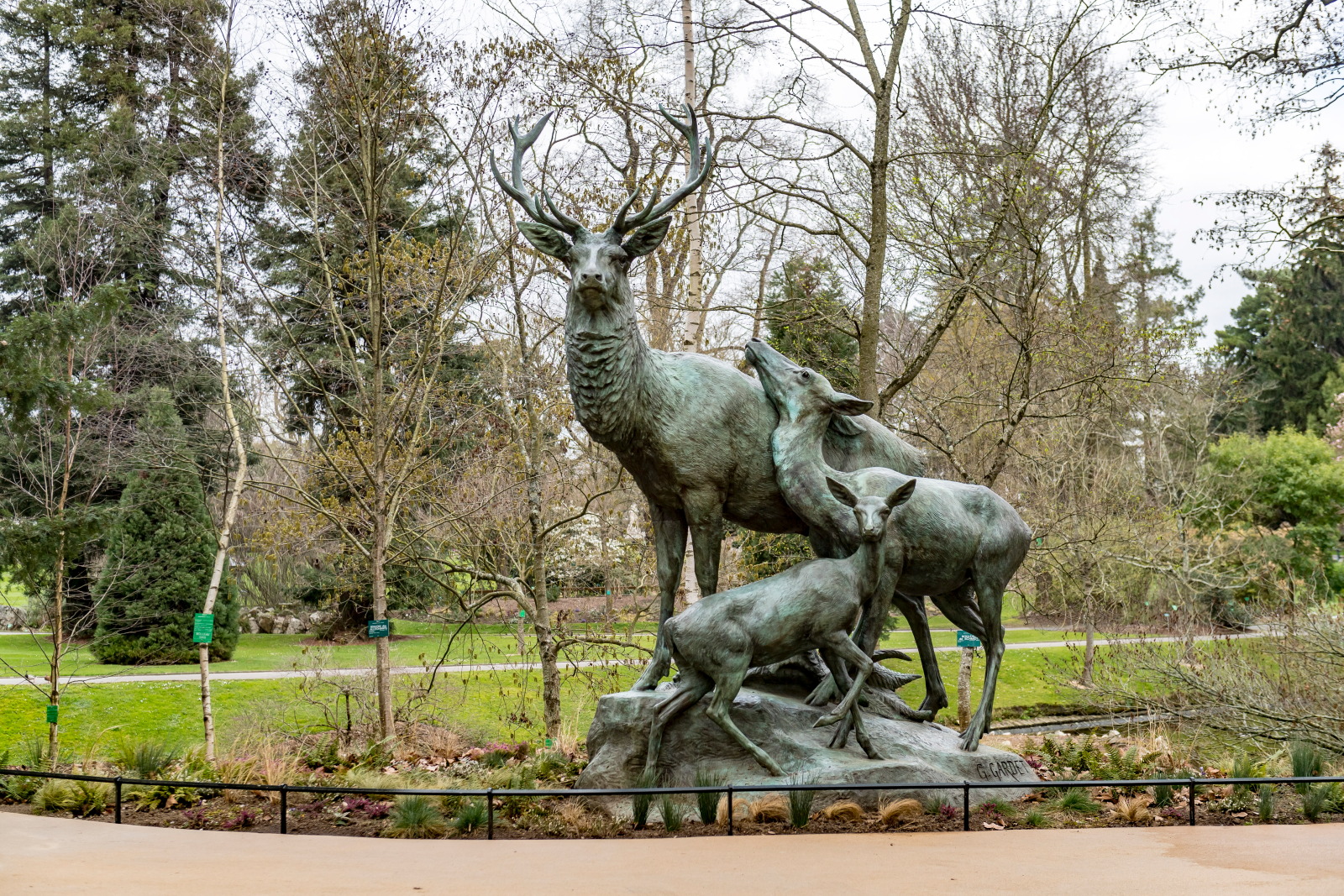 Famille de cerfs au repos