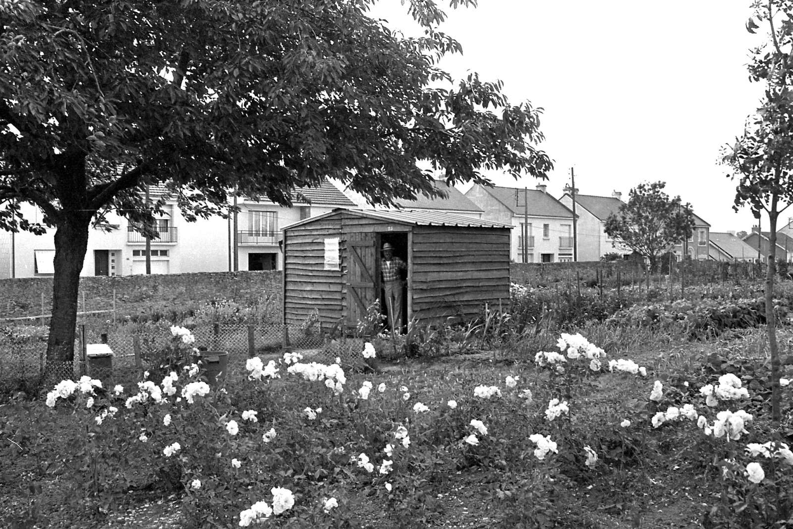 Jardins familiaux de la Contrie