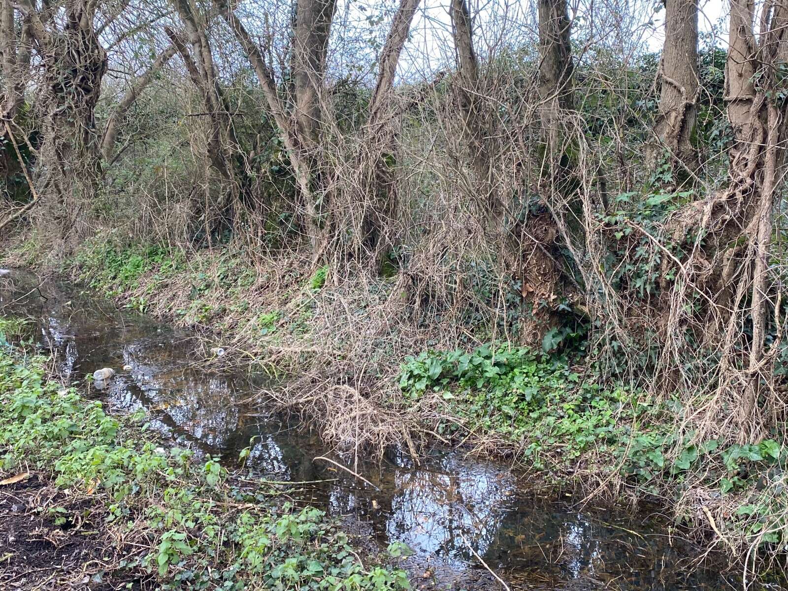 Ancien fossé du chemin du Bas à Doulon