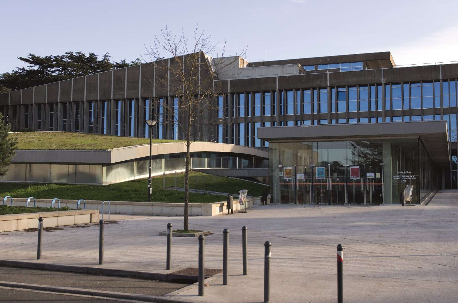 Université
