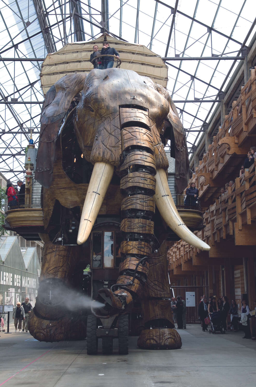 L'Eléphant