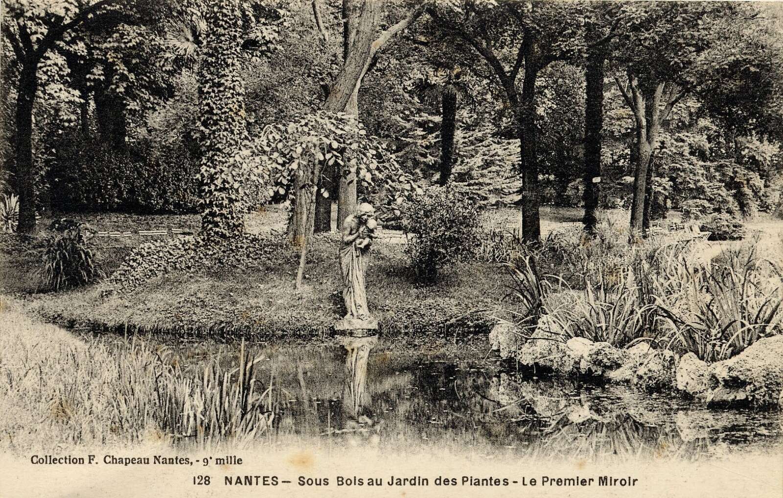 Sous bois au Jardin des Plantes, le « Premier Miroir » de Camille Alaphilippe