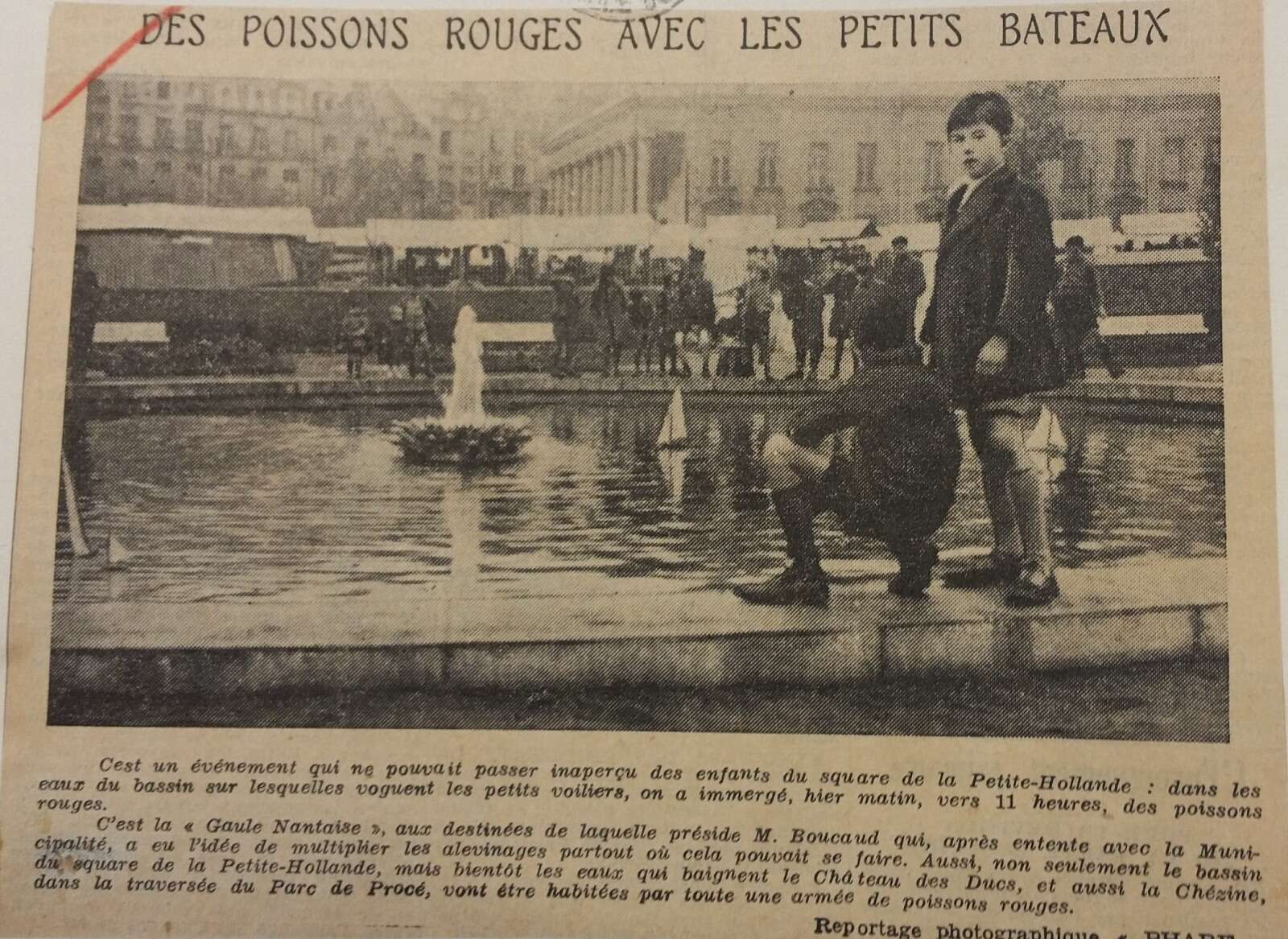 Activités sur les bords du bassin du square de la Petite-Hollande