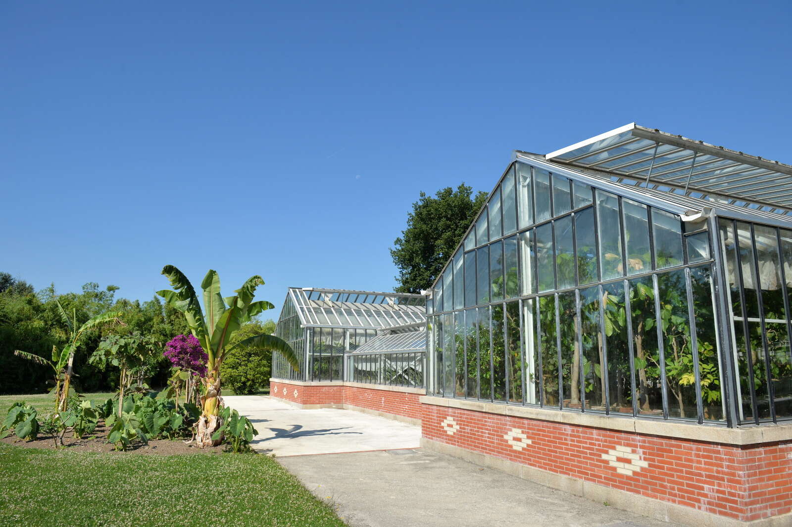 Serres d’agronomie tropicale du Parc du Grand Blottereau