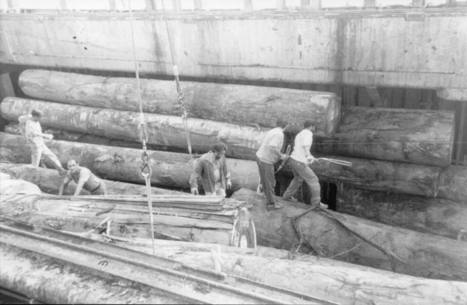 Dockers