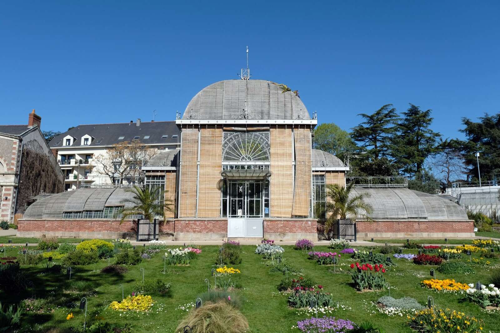 Palmarium du Jardin des Plantes