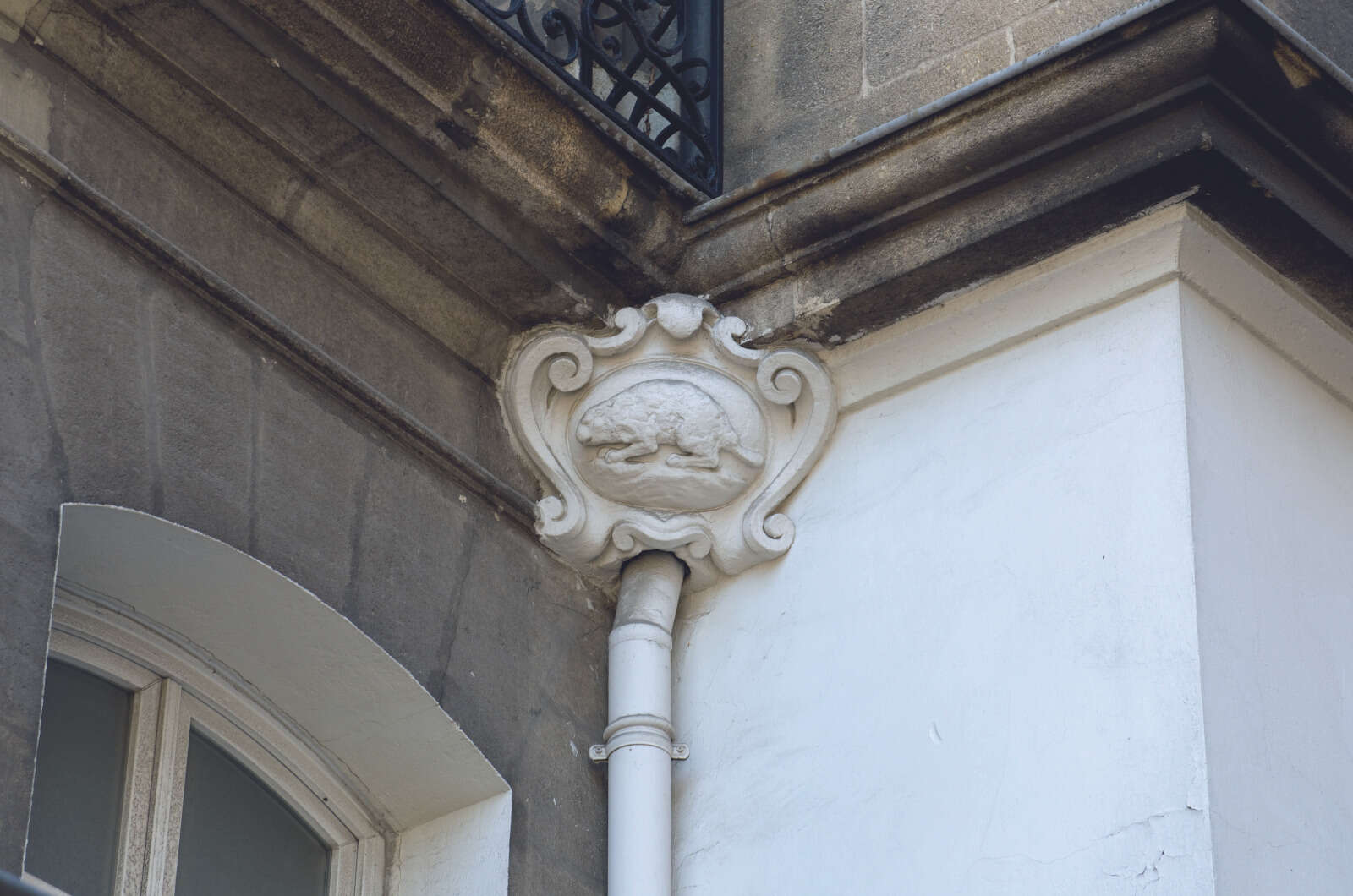 Castor sculpté, rue de la Paix